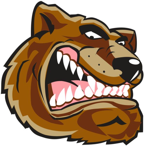 BEAR HD0502 RQC Thumbnail